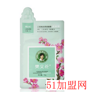 樊文花加盟