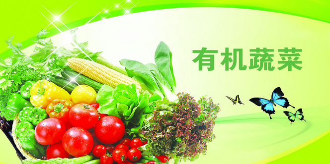 尚品正华有机蔬菜加盟