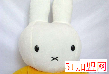 乐之源玩具加盟