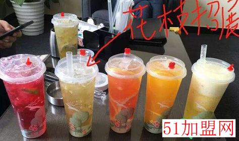 茶枝花露加盟