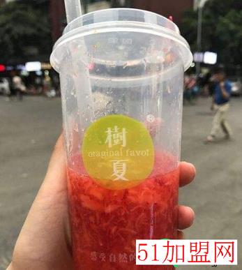 树夏生榨果粒加盟