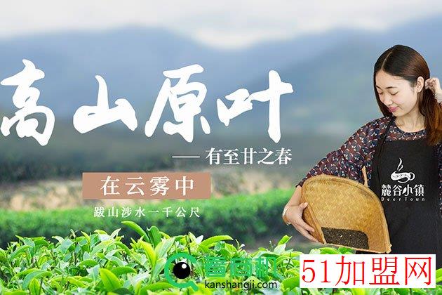 麓谷小镇奶茶加盟