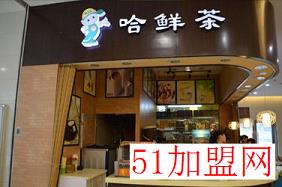 哈鲜茶加盟