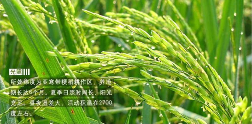 北大荒大米加盟