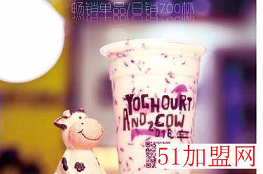 酸奶与牛加盟