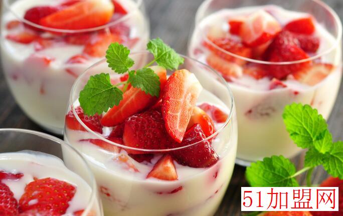 优格尔冻酸奶加盟 优格尔冻酸奶加盟