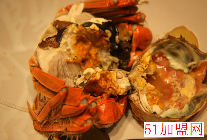 鑫阳阳澄湖大闸蟹加盟