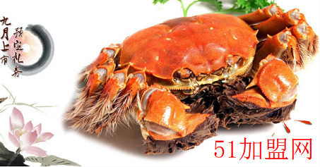 阳澄湖牌大闸蟹加盟
