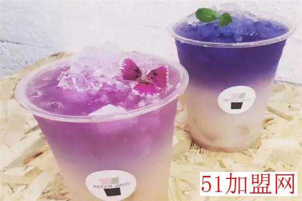 indoor oasis绿洲间加盟