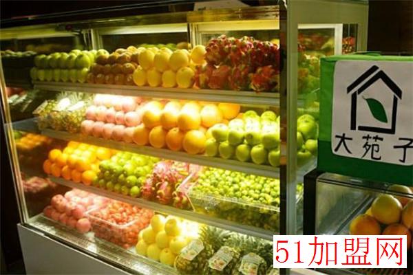 台湾大苑子加盟