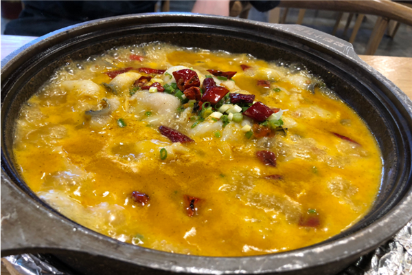 聪聪小钵鱼加盟