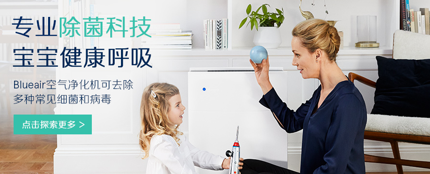 布鲁雅尔净化机加盟