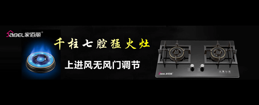 家佰丽电器加盟