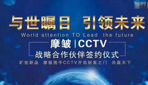 摩皱加盟