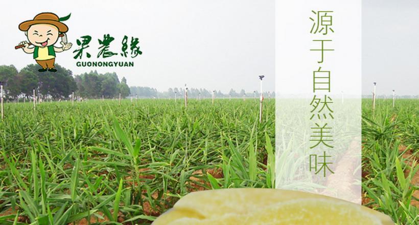果农缘加盟