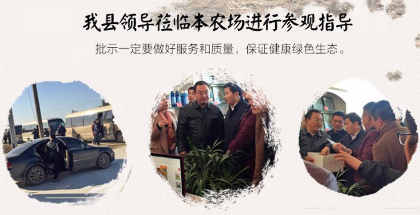 郑州克迈拉生物技术有限公司加盟