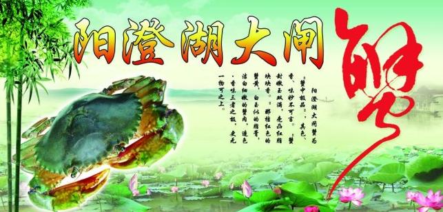 小夏阳澄湖大闸蟹加盟 小夏阳澄湖大闸蟹加盟