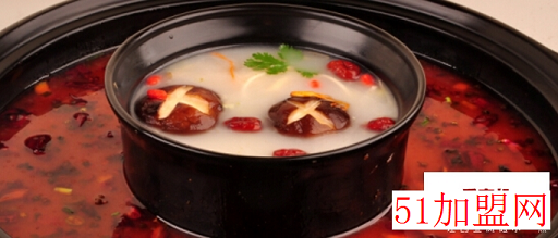 偶鱼养生轻火锅加盟