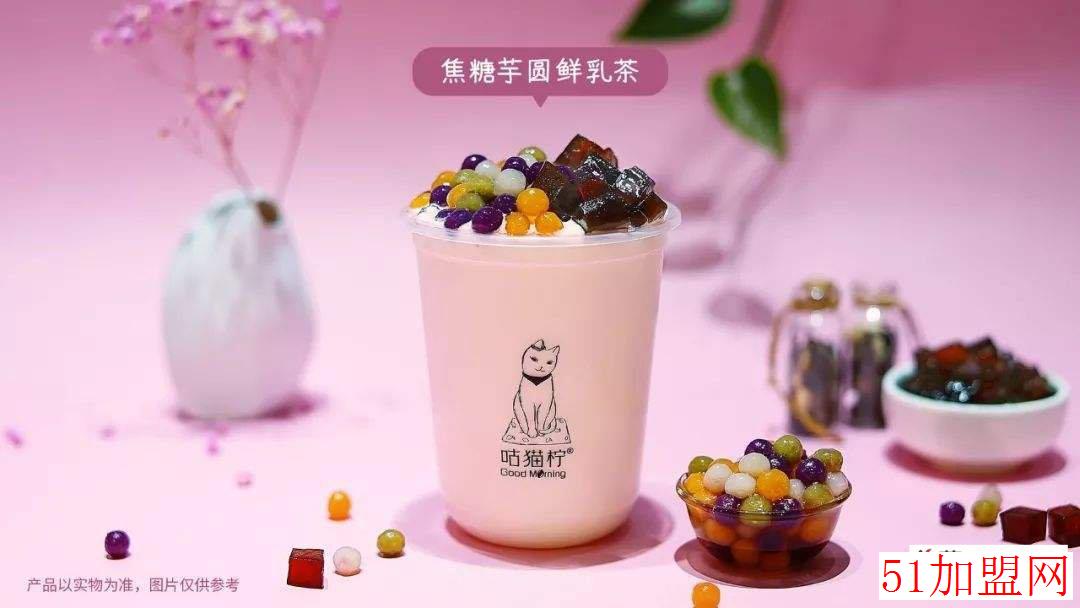 咕猫柠加盟