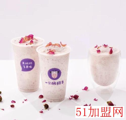 一只酸奶牛加盟