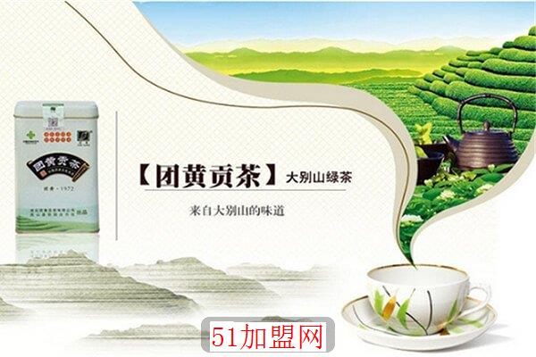 团黄贡茶加盟