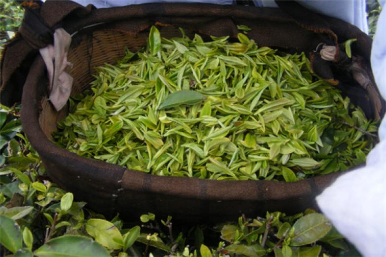 求嘻茶叶加盟