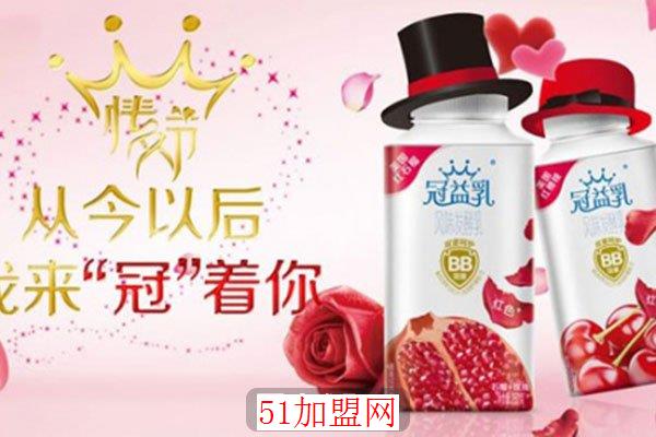 冠益乳酸奶加盟