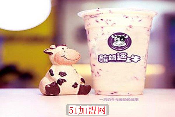 酸奶遇上牛加盟