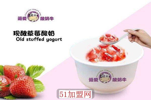 逗爱酸奶牛加盟