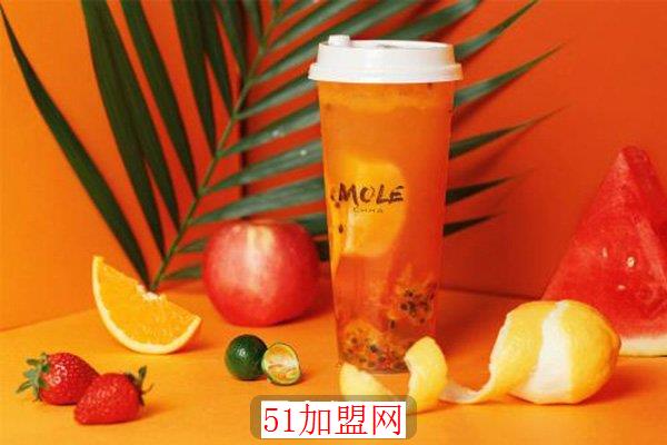 molechha摩乐加盟