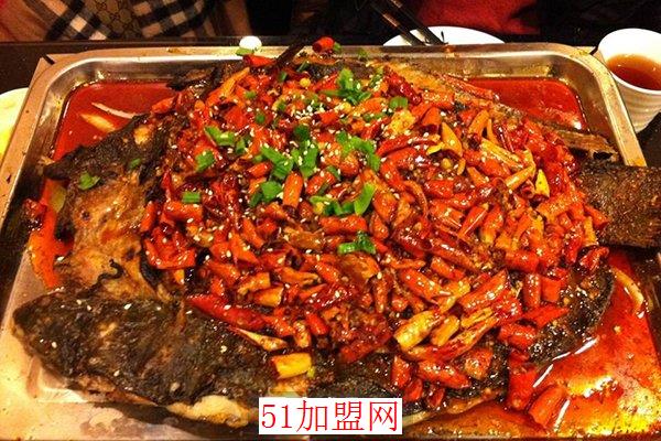 顺风鱼说加盟