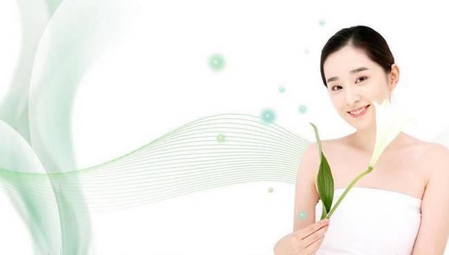 樊文花加盟
