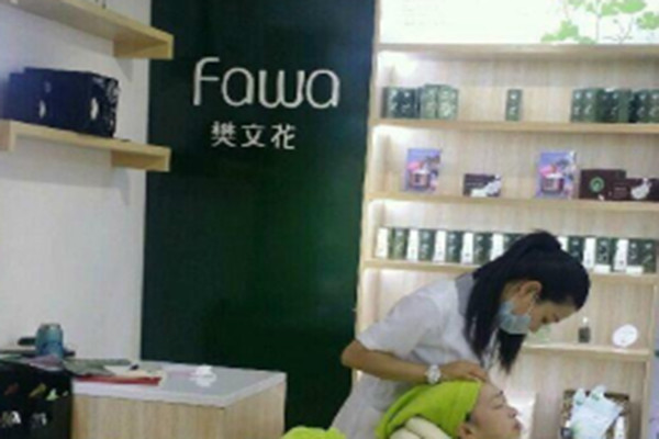 樊文花加盟