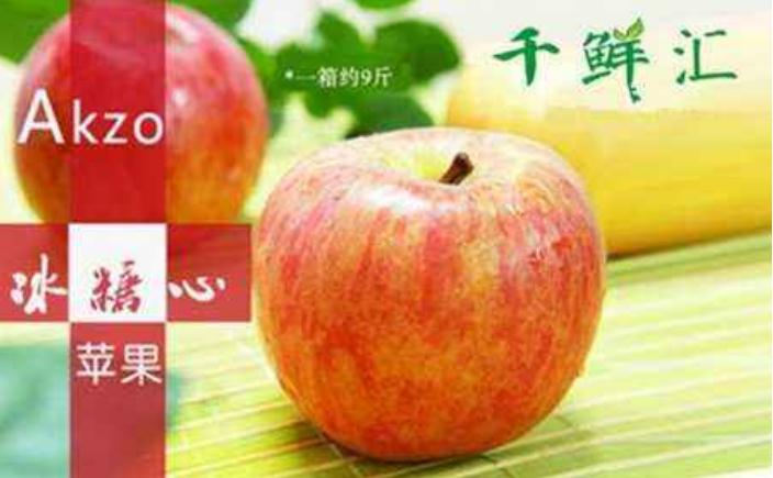 千鲜汇加盟