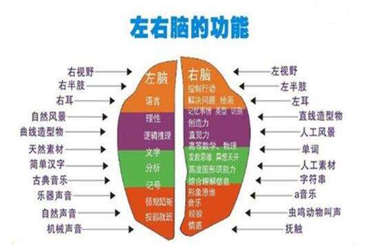 比马特全脑教育加盟