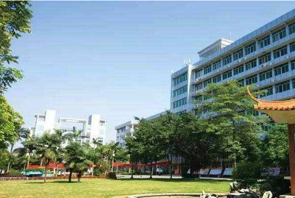 路飞学城加盟