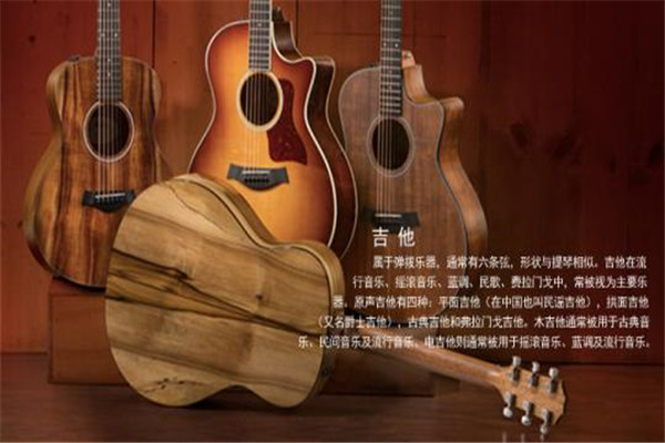 吉他堂吉他介绍