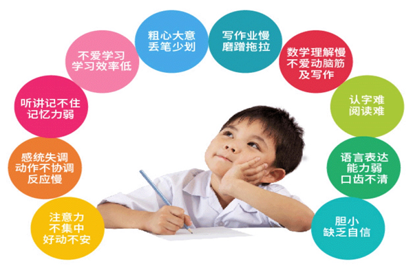 多特注意力好看
