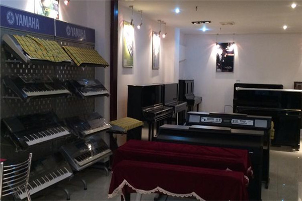 雅音琴行产品