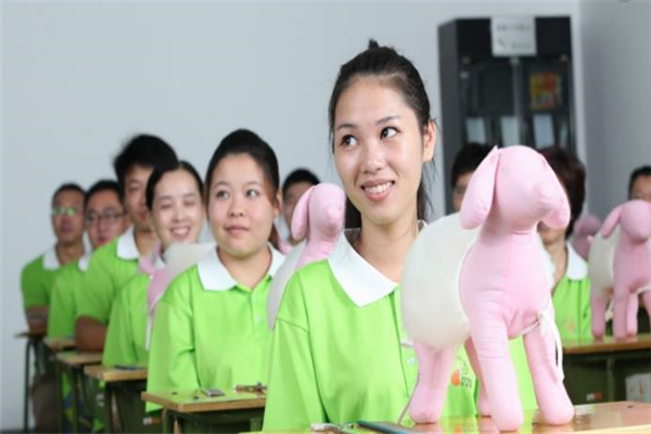 君宠宠物美容培训学校宣传