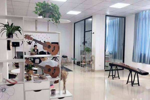 LZ Music Studio 音乐多样