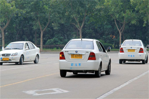 乐教练驾培培训