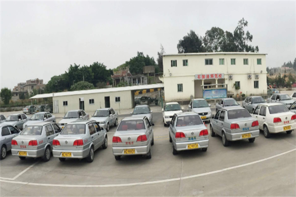 斑马学车车子