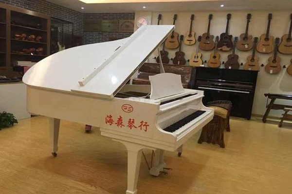 海森琴行环境
