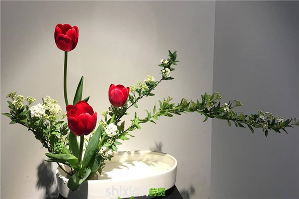 莳贤茶生活美学插花
