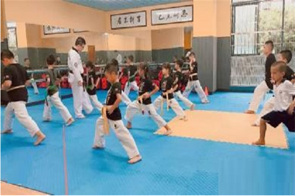 羽翔跆拳道学员训练图