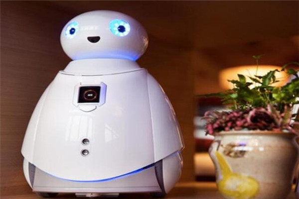 iBao科学探索俱乐部大白