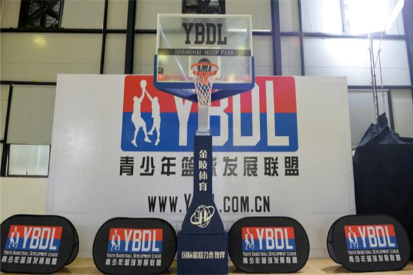 YBDL青少年篮球培训招牌