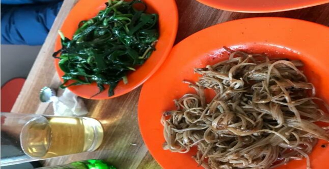 百泉庄炸串