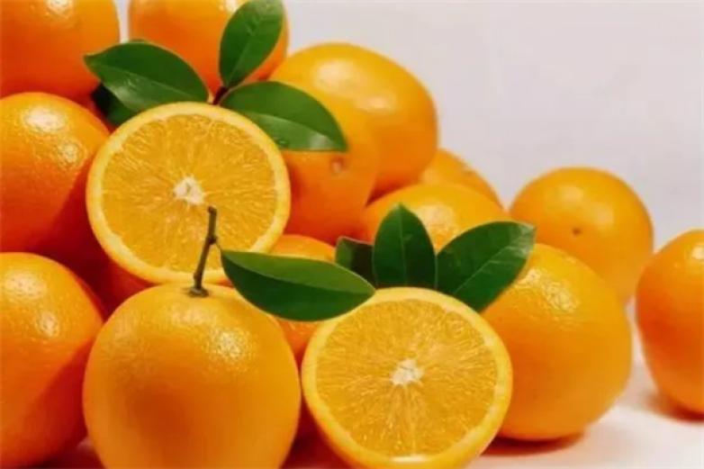 橙心甜橙加盟